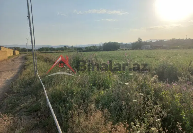 24 sot Torpaq Satılır, Gəncə
