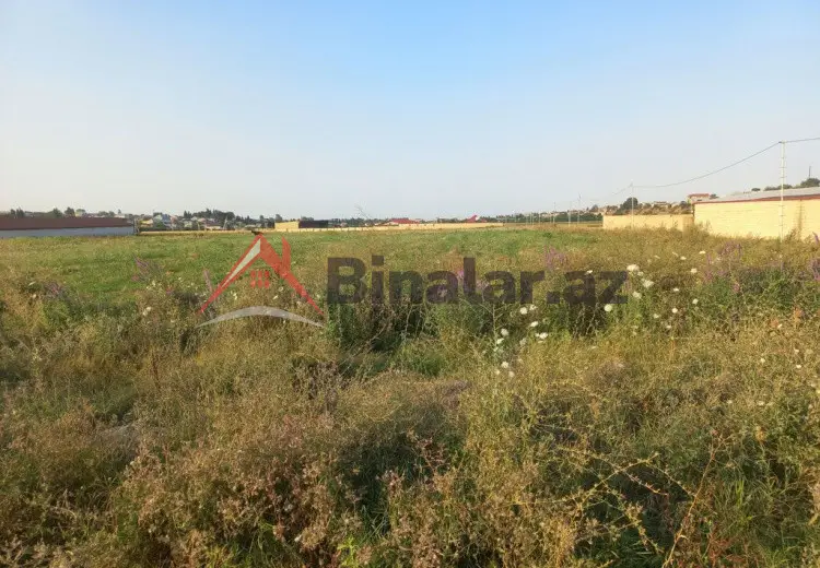 24 sot Torpaq Satılır, Gəncə