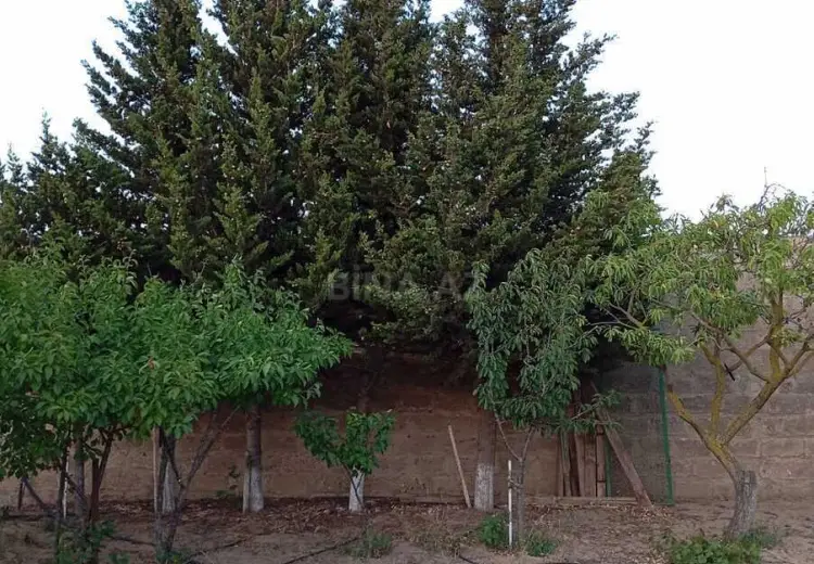 2 otaqlı mənzil Kirayə (aylıq), Sabunçu, Bakı
