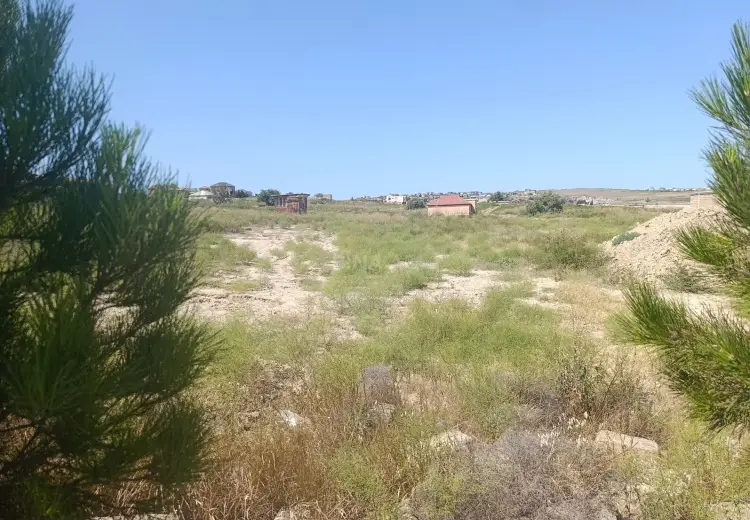 115 sot Torpaq Satılır, Masazır, Abşeron