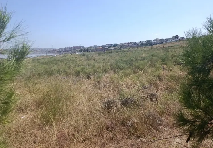 115 sot Torpaq Satılır, Masazır, Abşeron
