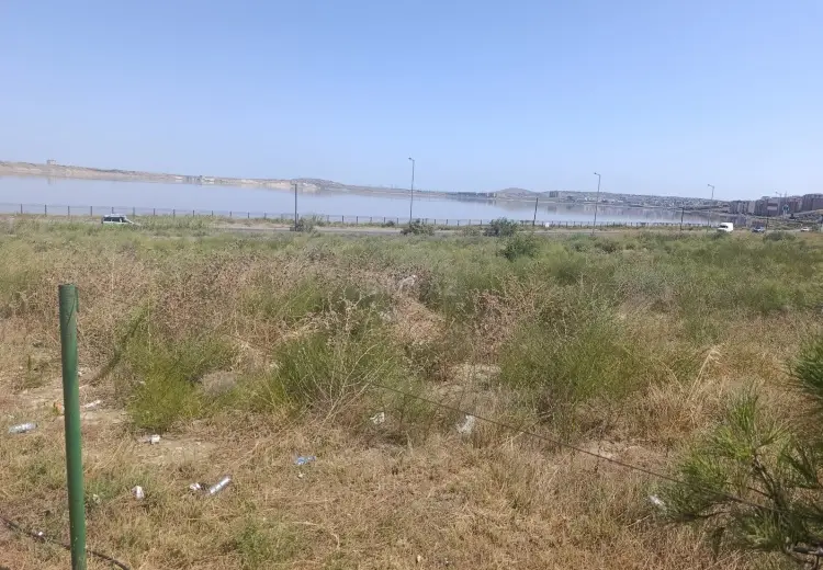 115 sot Torpaq Satılır, Masazır, Abşeron