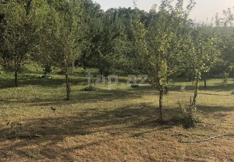 0 m² Obyekt / Ofis , Qəbələ