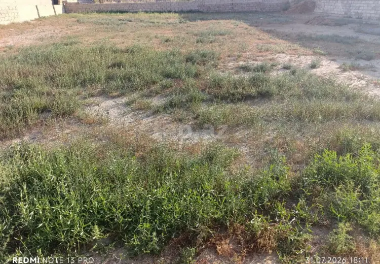 0 m² Obyekt / Ofis , Savalan qəs., Sabunçu, Bakı