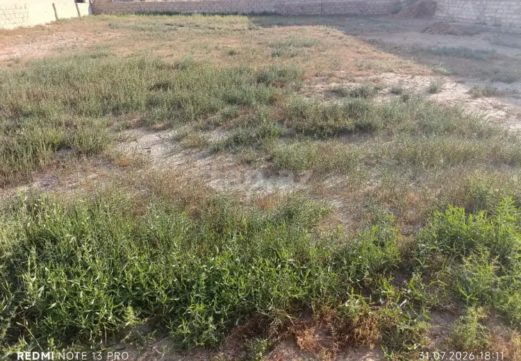 0 m² Obyekt / Ofis , Savalan qəs., Sabunçu, Bakı