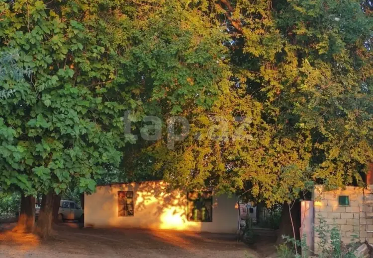 0 m² Obyekt / Ofis , Saatlı