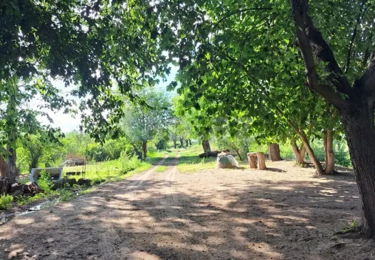 0 m² Obyekt / Ofis , Saatlı