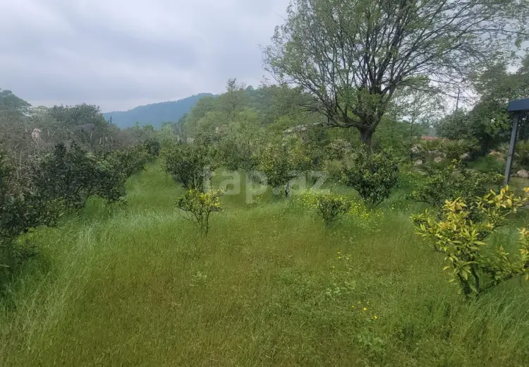 0 m² Obyekt / Ofis , Lənkəran