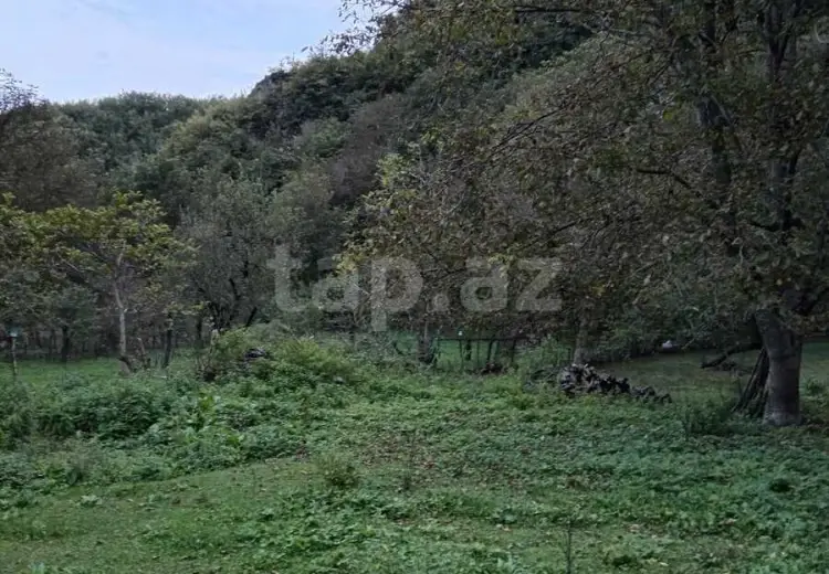 0 m² Obyekt / Ofis , Oğuz