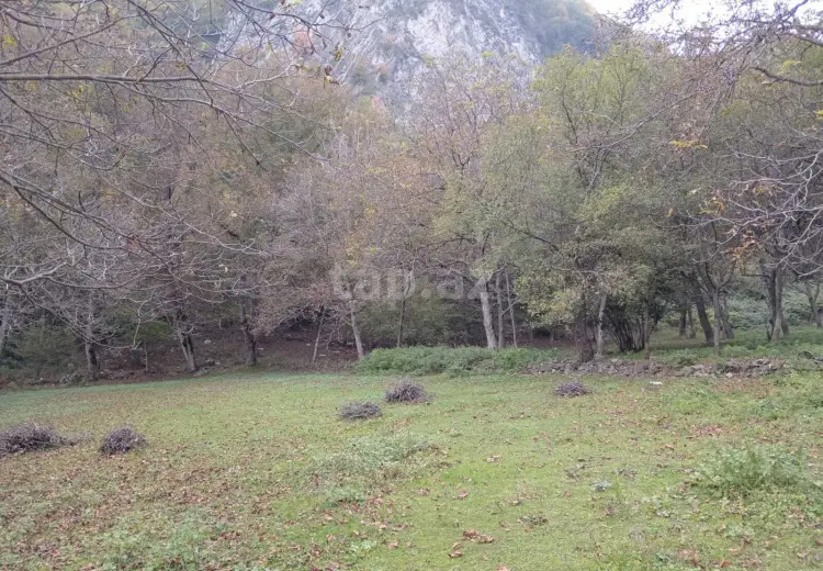 0 m² Obyekt / Ofis , Oğuz