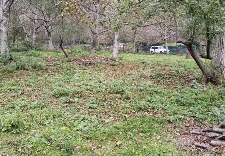 0 m² Obyekt / Ofis , Oğuz