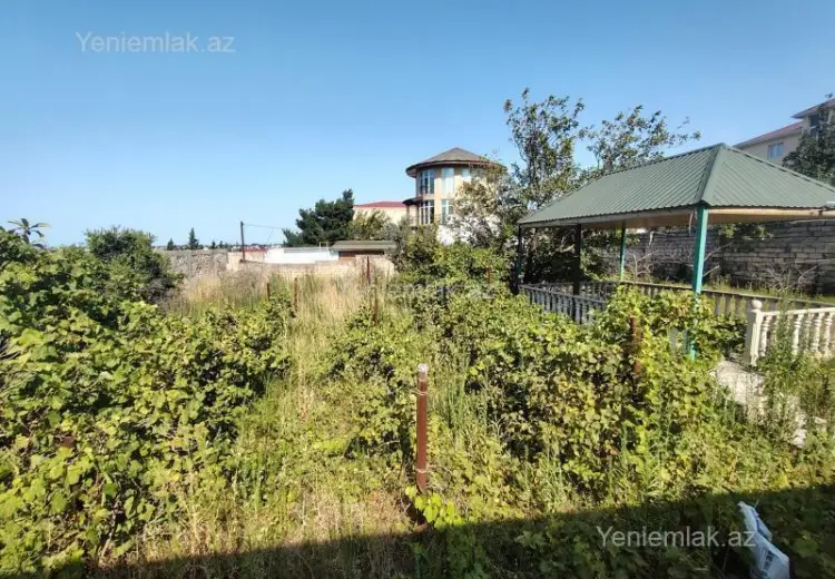 12 sot Torpaq Satılır, Novxanı, Abşeron