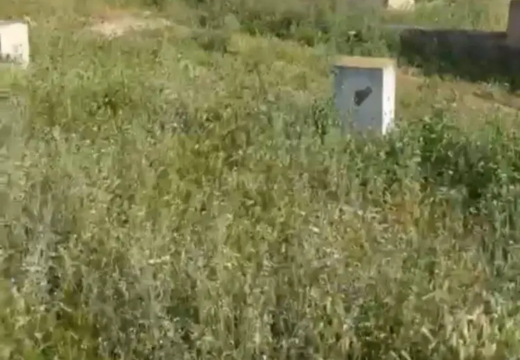 150 sot Torpaq Satılır, Abşeron