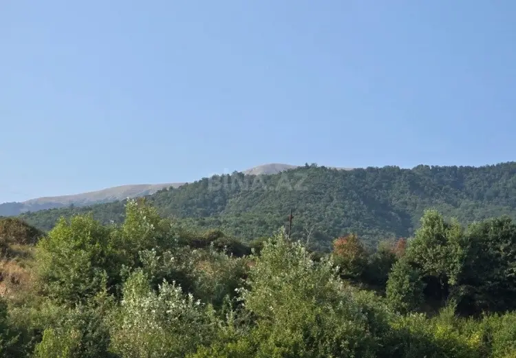 12 sot Torpaq Satılır, İsmayıllı