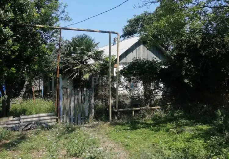 12 sot Torpaq Satılır, Nabran
