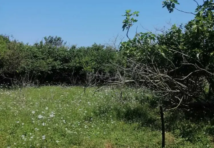 12 sot Torpaq Satılır, Nabran