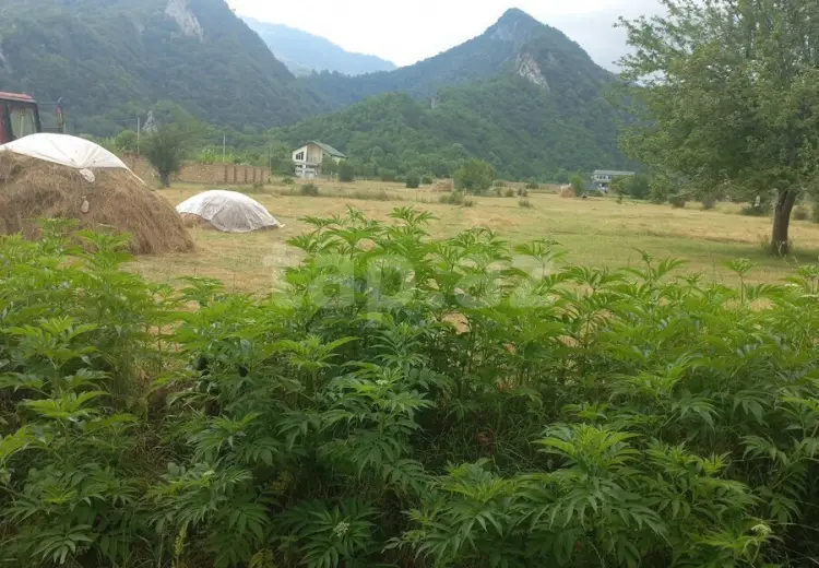 0 m² Obyekt / Ofis , Oğuz