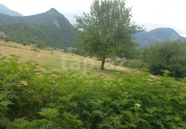 0 m² Obyekt / Ofis , Oğuz