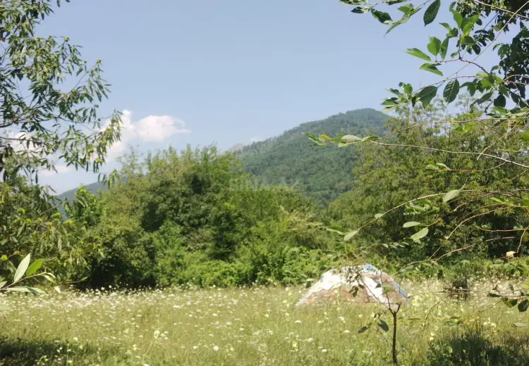 56 sot Torpaq Satılır, Qəbələ