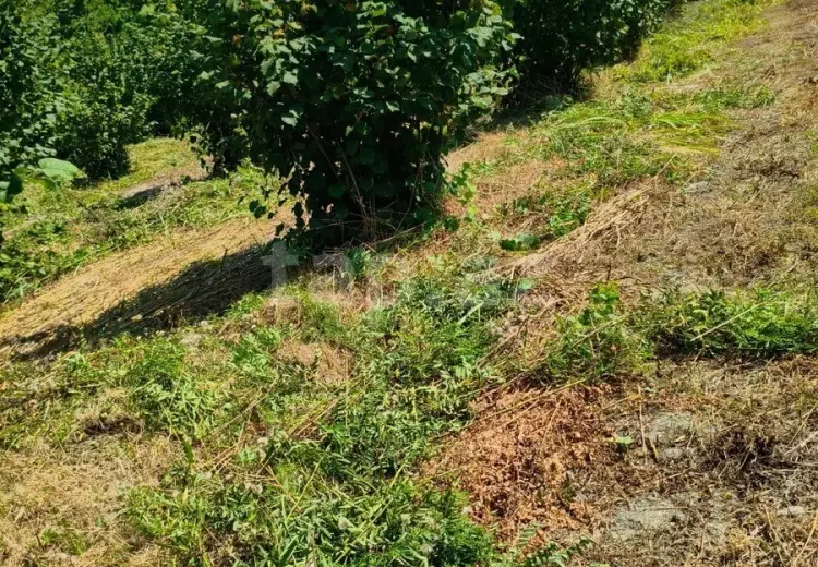 0 m² Obyekt / Ofis , Xaçmaz