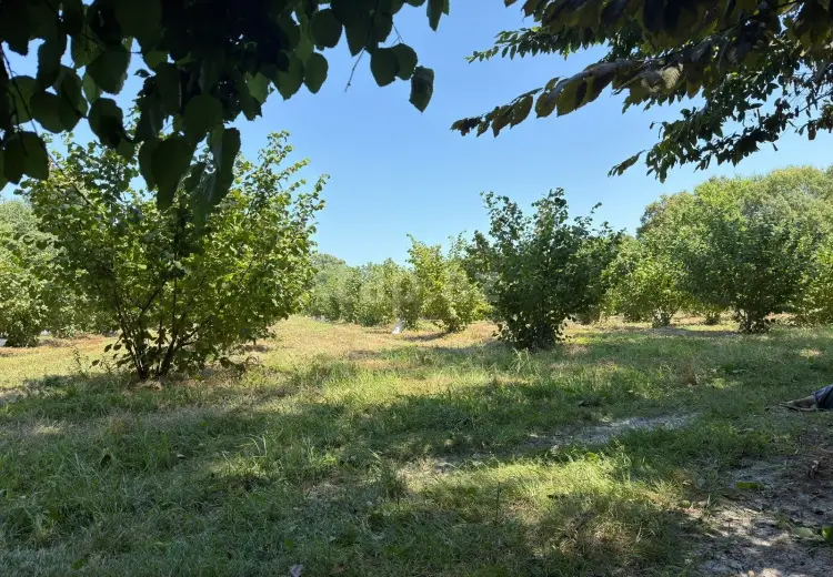 0 m² Obyekt / Ofis , Xaçmaz