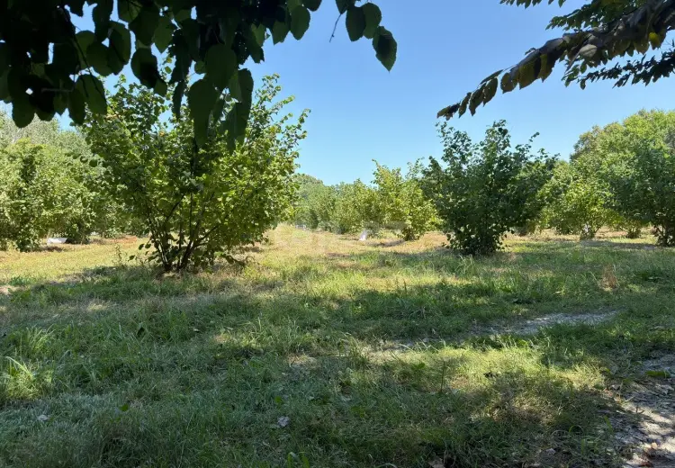 0 m² Obyekt / Ofis , Xaçmaz