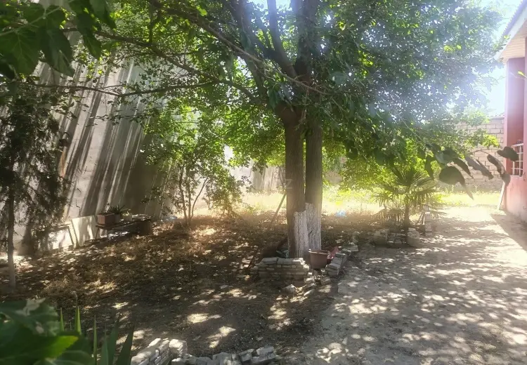5.1 sot Torpaq Satılır, Məştağa qəs., Sabunçu, Bakı