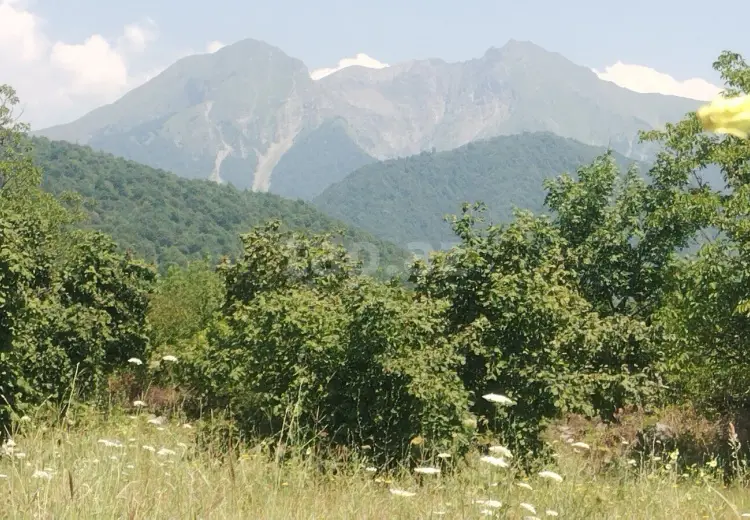 0 m² Obyekt / Ofis , Qəbələ