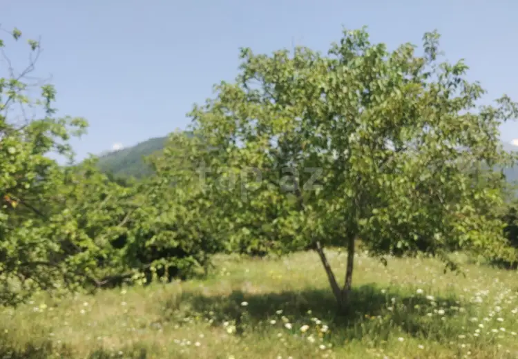 0 m² Obyekt / Ofis , Qəbələ