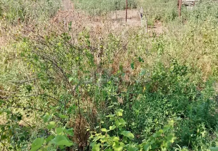 0 m² Obyekt / Ofis , Savalan qəs., Sabunçu, Bakı