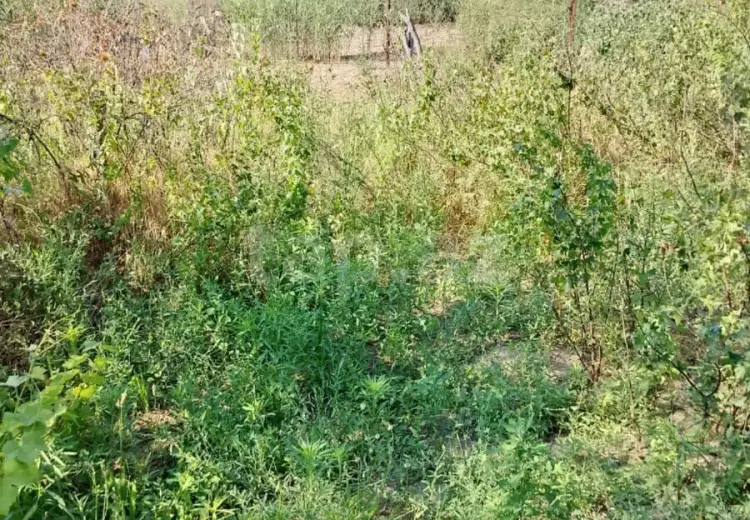 0 m² Obyekt / Ofis , Savalan qəs., Sabunçu, Bakı