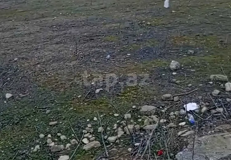 0 m² Obyekt / Ofis , Zığ qəs., Suraxanı, Bakı