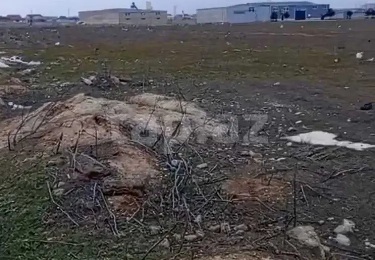 0 m² Obyekt / Ofis , Zığ qəs., Suraxanı, Bakı