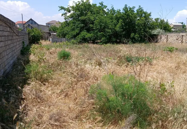 0 m² Obyekt / Ofis , Sumqayıt