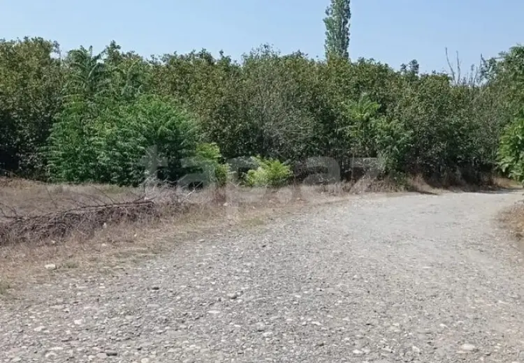0 m² Obyekt / Ofis , Xaçmaz
