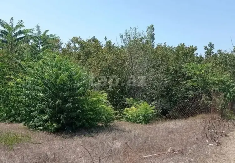 0 m² Obyekt / Ofis , Xaçmaz