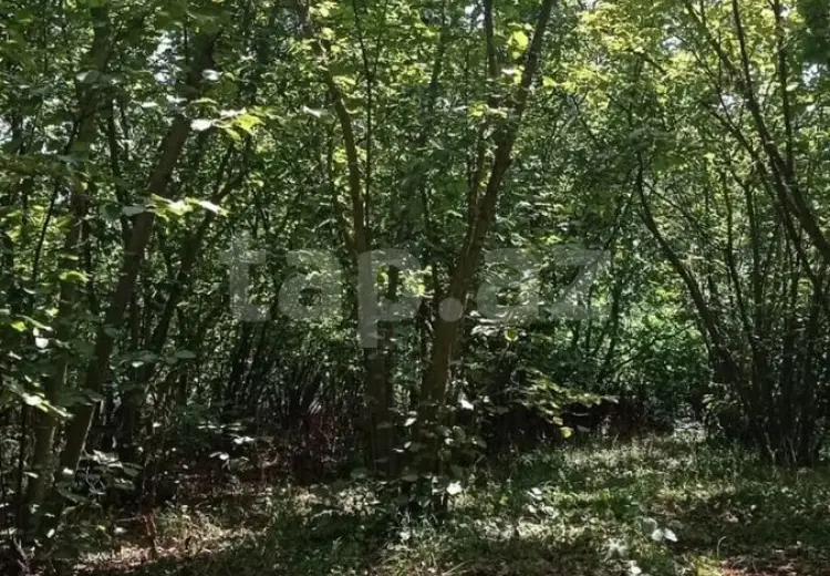 0 m² Obyekt / Ofis , Xaçmaz