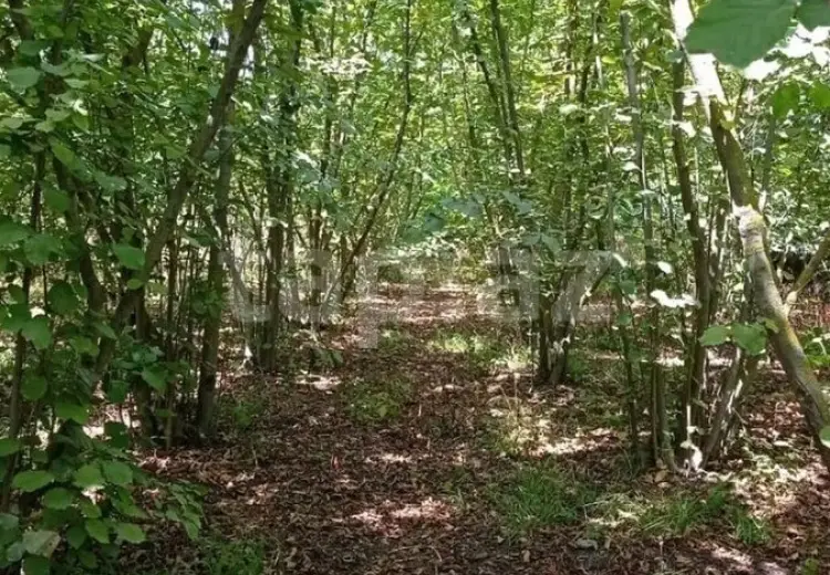0 m² Obyekt / Ofis , Xaçmaz