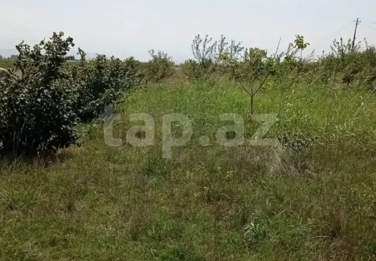 0 m² Obyekt / Ofis , Xaçmaz