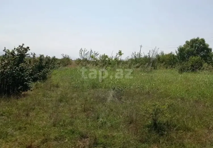 0 m² Obyekt / Ofis , Xaçmaz