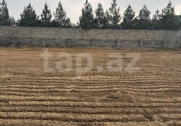 0 m² Obyekt / Ofis , Nardaran qəs., Sabunçu, Bakı
