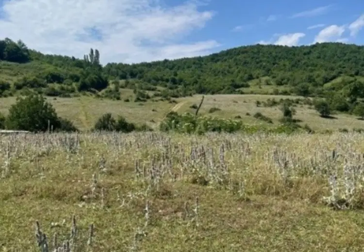 12 sot Torpaq Satılır, Quba