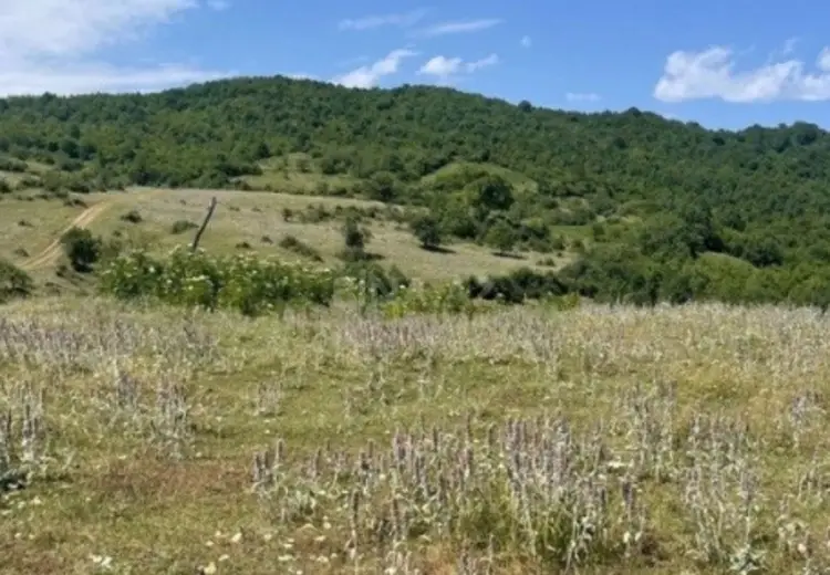 12 sot Torpaq Satılır, Quba