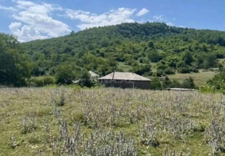 12 sot Torpaq Satılır, Quba