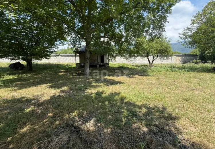0 m² Obyekt / Ofis , Qəbələ