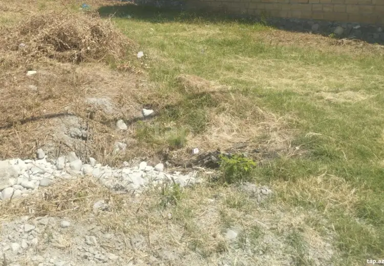 0 m² Obyekt / Ofis , Şəki