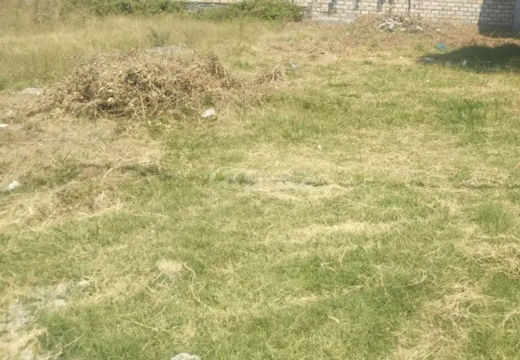 0 m² Obyekt / Ofis , Şəki