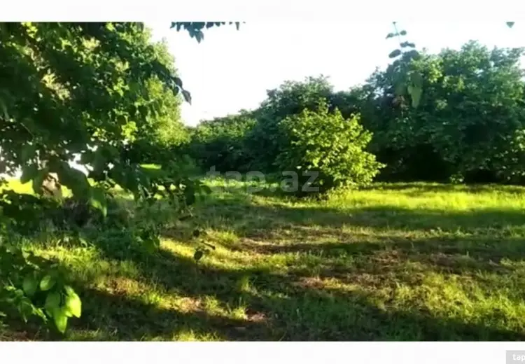 3 otaqlı mənzil , Qax