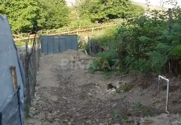 12 sot Torpaq Satılır, Qəbələ