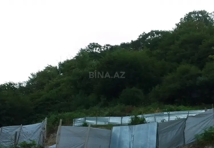 12 sot Torpaq Satılır, Qəbələ
